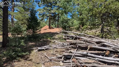 2847 N Mountain Estates Rd, Florissant, CO 80816
