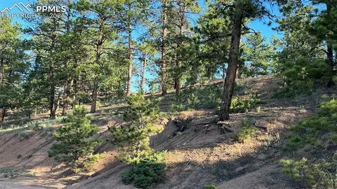 19 Ranch Rd, Sedalia, CO 80135