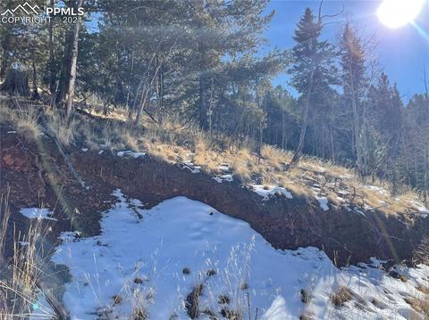518 Willow Rd, Divide, CO 80814 photo 5
