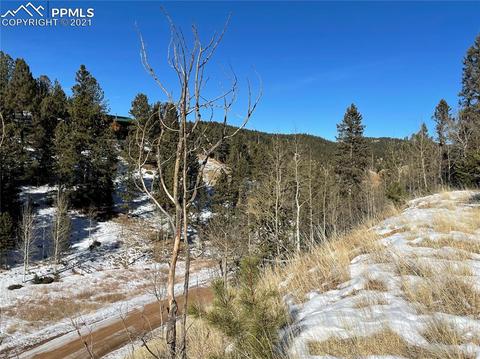 518 Willow Rd, Divide, CO 80814 photo 3