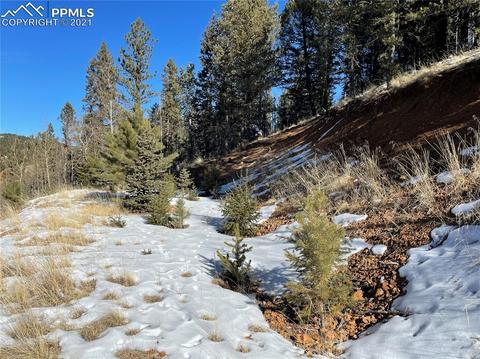 518 Willow Rd, Divide, CO 80814 photo 2