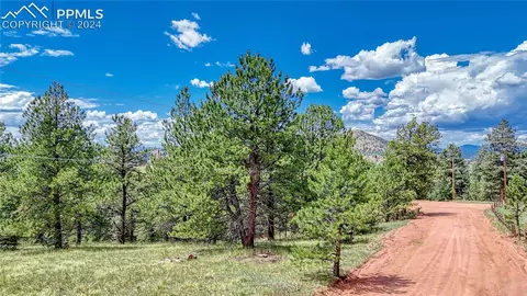 329 Wabash Ter, Cripple Creek, CO 80813