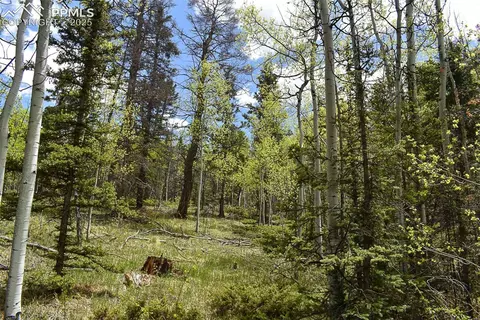 430 Timberline Dr, Guffey, CO 80820