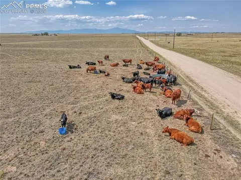 21575 J D Johnson Rd, Peyton, CO 80831 photo 2