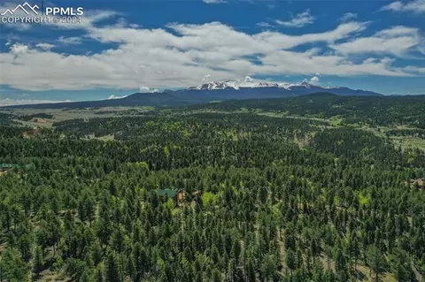 527 Cougar Pt, Divide, CO 80814 photo 4