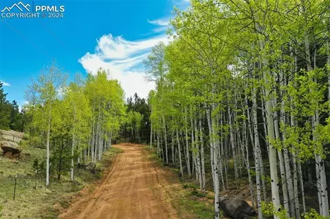 527 Cougar Pt, Divide, CO 80814 photo 6