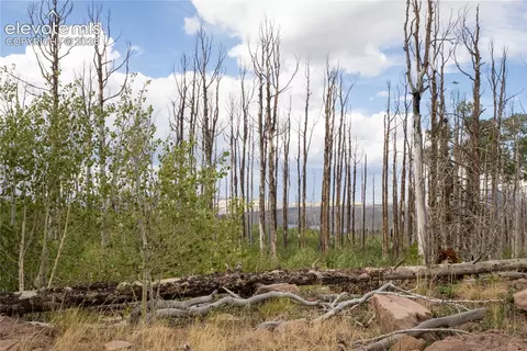 lot1947 Hilda Ln, Fort Garland, CO 81133