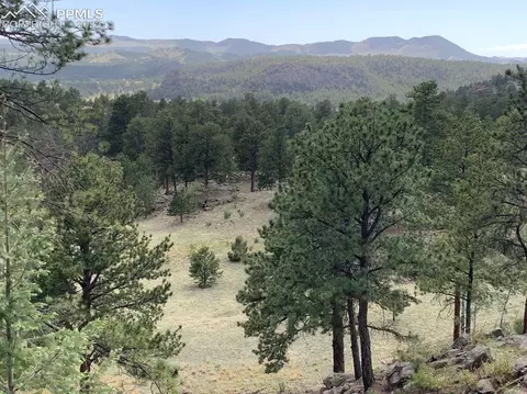 591 Star Gate Hts, Florissant, CO 80816