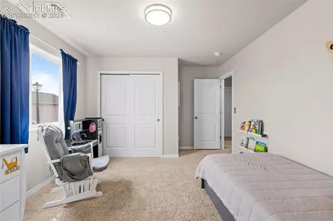 7829 Leiden Pt, Peyton, CO 80831 photo 18