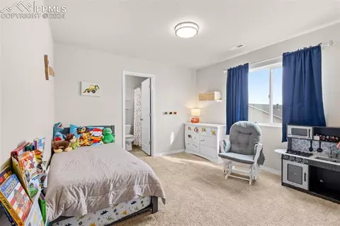 7829 Leiden Pt, Peyton, CO 80831 photo 17