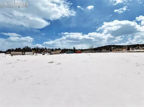 179 Elfin Glen Dr, Divide, CO 80814 photo 14