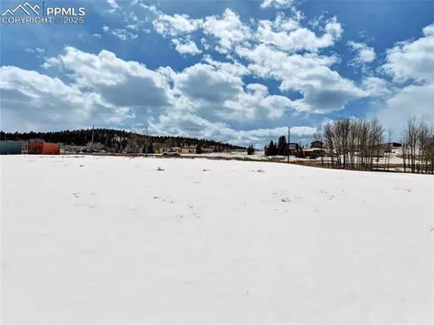 179 Elfin Glen Dr, Divide, CO 80814 photo 15