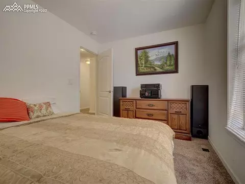 964 E Bison Creek Trl, Divide, CO 80814 photo 3