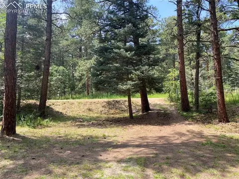 10240 Park Rd, Rye, CO 81069 photo 24