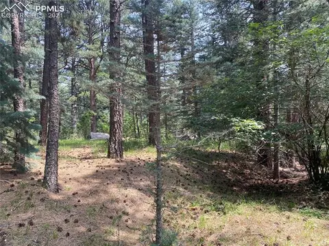 10240 Park Rd, Rye, CO 81069 photo 38