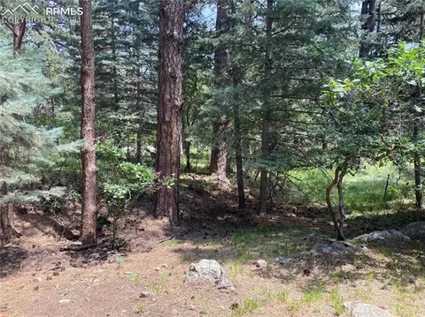 10240 Park Rd, Rye, CO 81069 photo 32