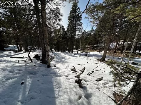 574 Donzi Trl, Florissant, CO 80816