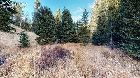 600 Elk Ridge South Na Na, Divide, CO 80814 photo 3