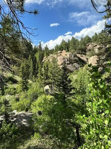 tbd W Highway 24, Florissant, CO 80816