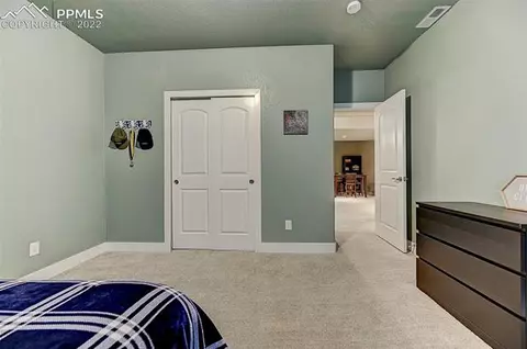 12548 Granite Spring Pl, Peyton, CO 80831 photo 29