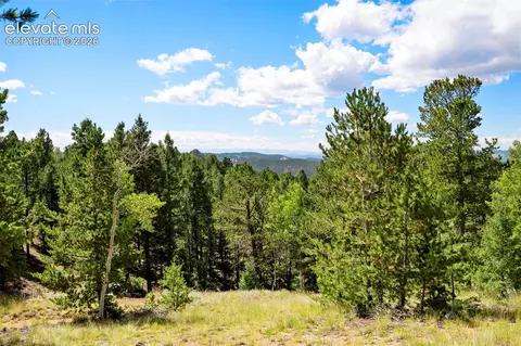 131 Paradiso Rd, Divide, CO 80814 photo 44