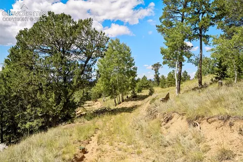 131 Paradiso Rd, Divide, CO 80814 photo 45