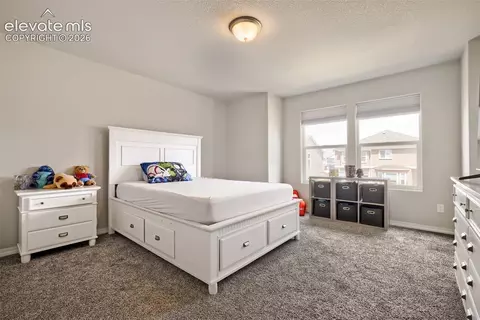 Bedroom - 8251 Barley Ct, Peyton, CO 80831 photo 3 of 4
