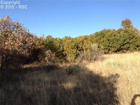 17470 Muzzle Loader Way, Monument, CO 80132 photo 7