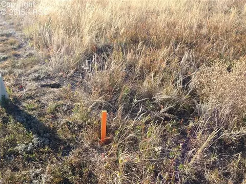 17470 Muzzle Loader Way, Monument, CO 80132 photo 8