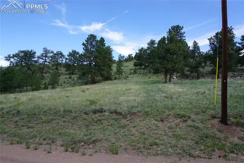 89 Peak Dr, Guffey, CO 80820
