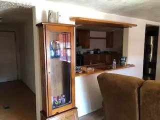 38120 Trogilo Rd, Rush, CO 80833 photo 12