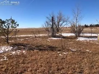 38120 Trogilo Rd, Rush, CO 80833 photo 7