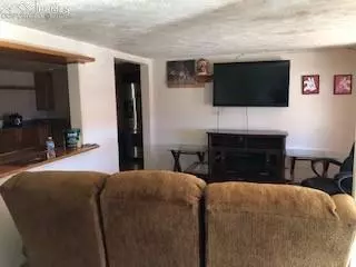 38120 Trogilo Rd, Rush, CO 80833 photo 10