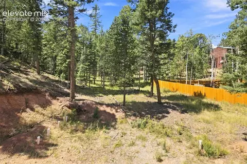 28 Joseph Rd, Woodland Park, CO 80863