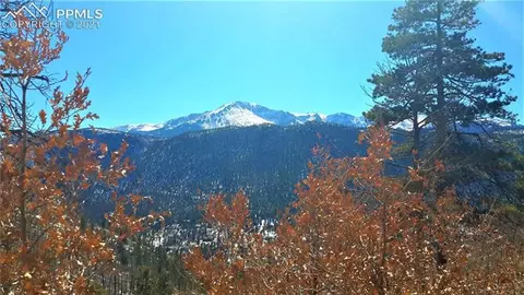8210 Bear Dance Hts, Cascade, CO 80809 photo 2