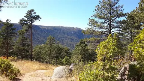 8210 Bear Dance Hts, Cascade, CO 80809 photo 4