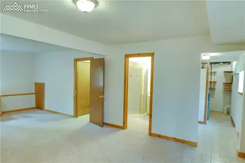 3876 County Road 5 Na Na, Divide, CO 80814 photo 6