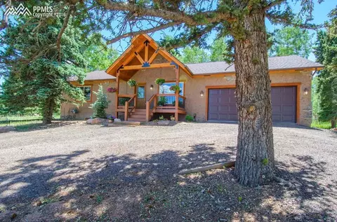 170 Aspen Dr, Divide, CO 80814 photo 1