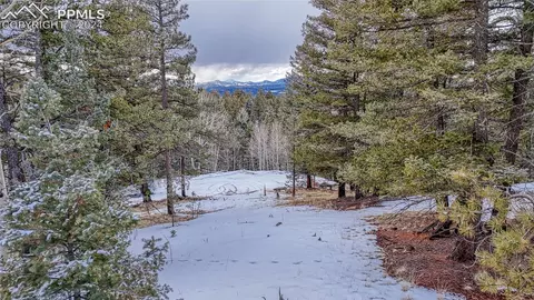 196 Rampart Cir, Florissant, CO 80816