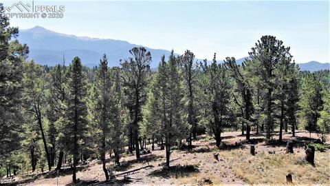 133 Haven Rd, Divide, CO 80814 photo 2