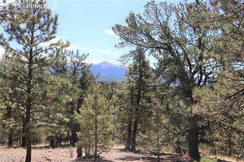 133 Haven Rd, Divide, CO 80814 photo 8