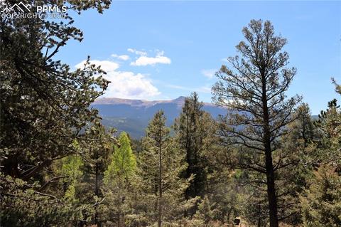 133 Haven Rd, Divide, CO 80814 photo 13