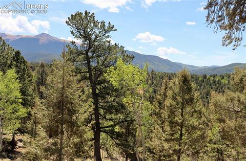 133 Haven Rd, Divide, CO 80814 photo 26