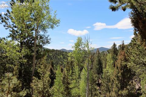 133 Haven Rd, Divide, CO 80814 photo 27