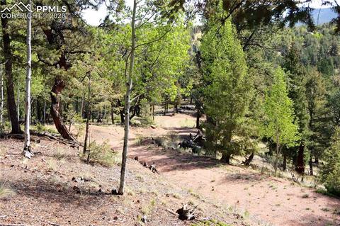133 Haven Rd, Divide, CO 80814 photo 20