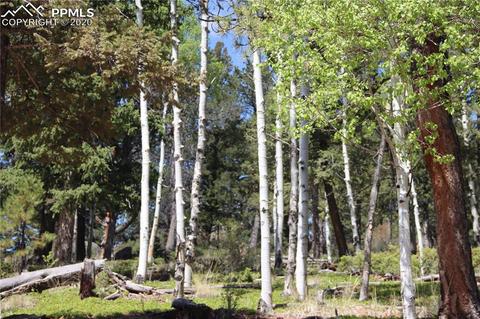 133 Haven Rd, Divide, CO 80814 photo 21