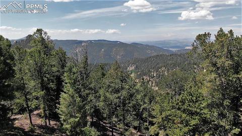 133 Haven Rd, Divide, CO 80814 photo 32