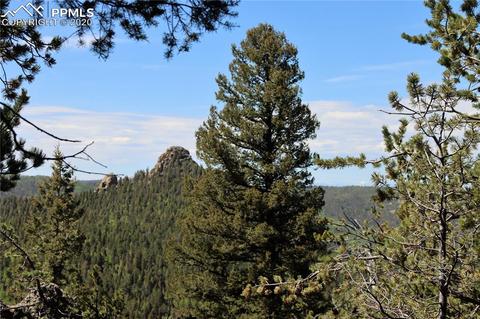 133 Haven Rd, Divide, CO 80814 photo 11