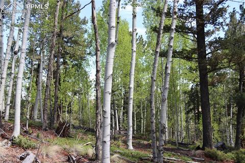133 Haven Rd, Divide, CO 80814 photo 19