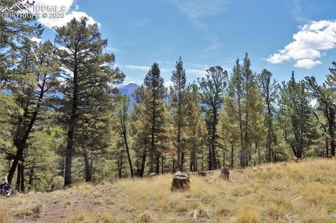 133 Haven Rd, Divide, CO 80814 photo 24